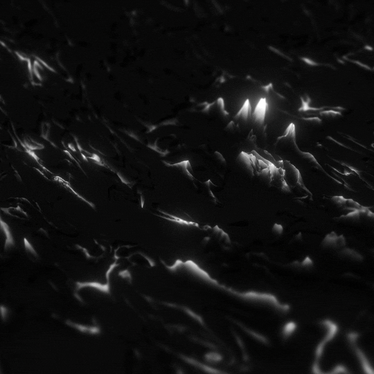 user background image